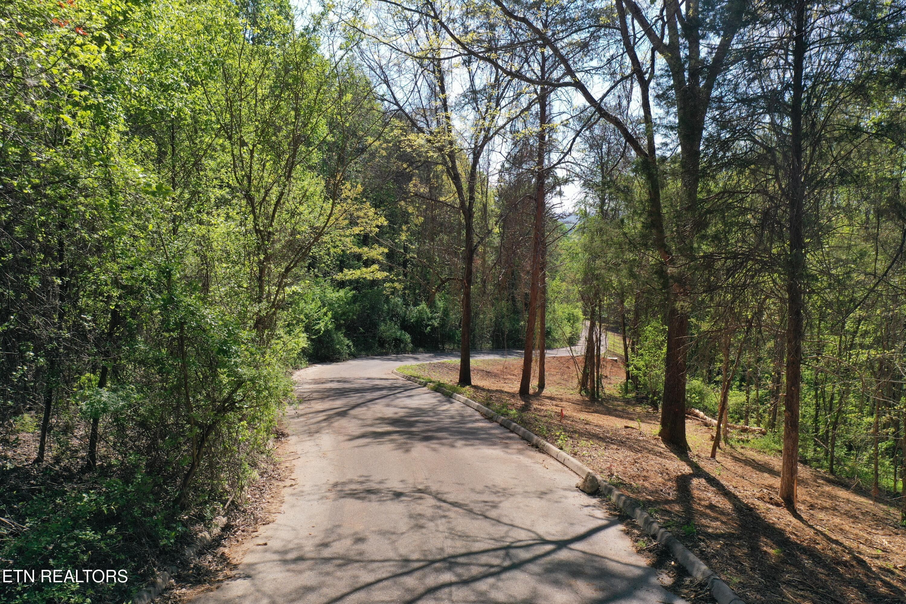 LOT 15_0424 - 00 LOT 15 Elm Lane, Sweetwater, TN 37874, Sweetwater