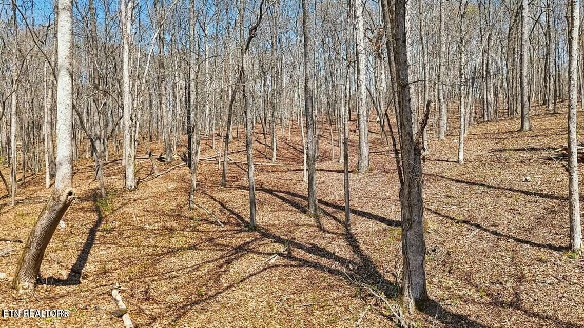 20250401145656213885000000-o - 1300 Old Sugar Limb Rd, Loudon, TN 37774, Loudon
