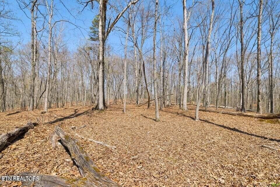 20250401145724788755000000-o - 1300 Old Sugar Limb Rd, Loudon, TN 37774, Loudon