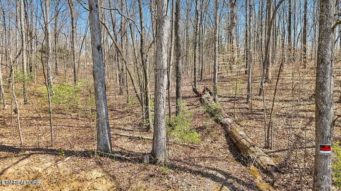 20250401145654088023000000-o - 1300 Old Sugar Limb Rd, Loudon, TN 37774, Loudon