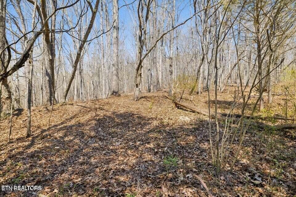 20250401145734674109000000-o - 1300 Old Sugar Limb Rd, Loudon, TN 37774, Loudon
