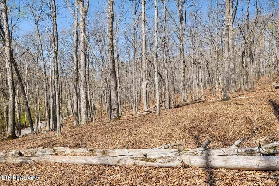 20250401145733596384000000-o - 1300 Old Sugar Limb Rd, Loudon, TN 37774, Loudon