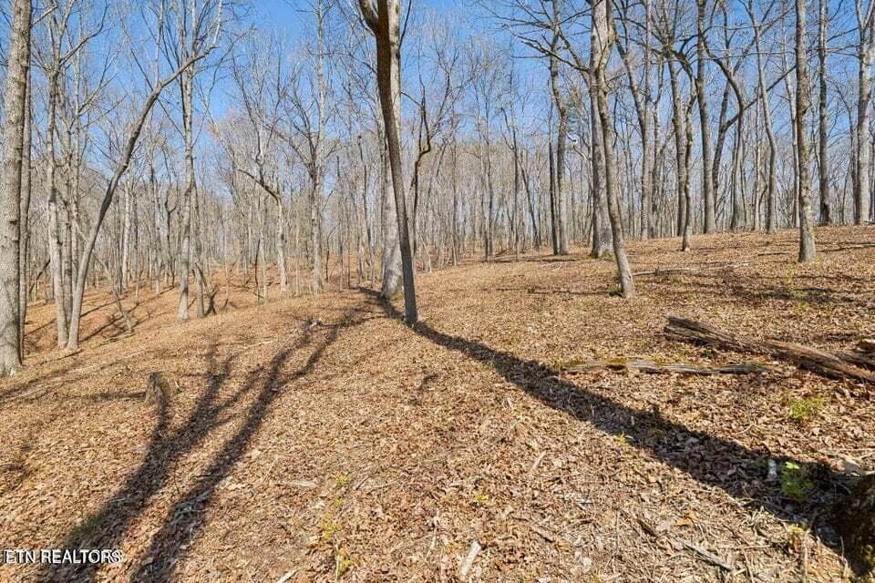 20250401145729909145000000-o - 1300 Old Sugar Limb Rd, Loudon, TN 37774, Loudon