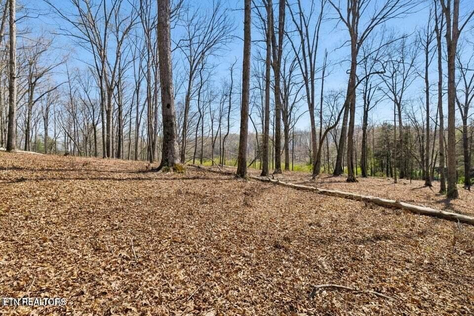 20250401145731277701000000-o - 1300 Old Sugar Limb Rd, Loudon, TN 37774, Loudon