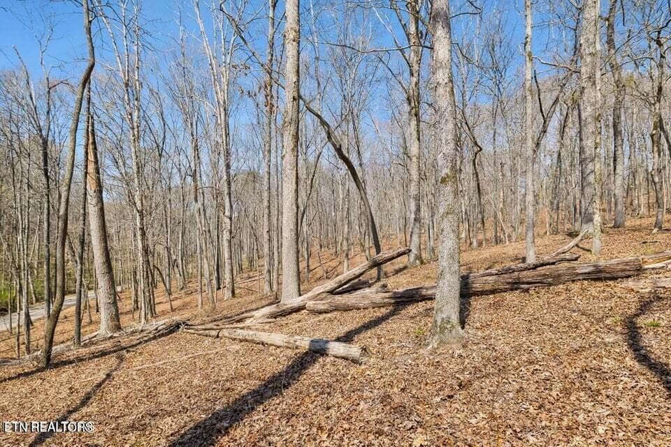 20250401145732352054000000-o - 1300 Old Sugar Limb Rd, Loudon, TN 37774, Loudon