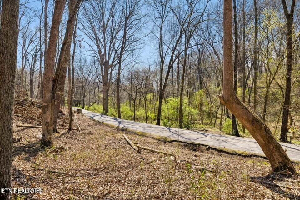 20250401145727358732000000-o - 1300 Old Sugar Limb Rd, Loudon, TN 37774, Loudon