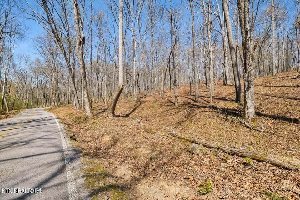 20250401145721501788000000-o - 1300 Old Sugar Limb Rd, Loudon, TN 37774, Loudon