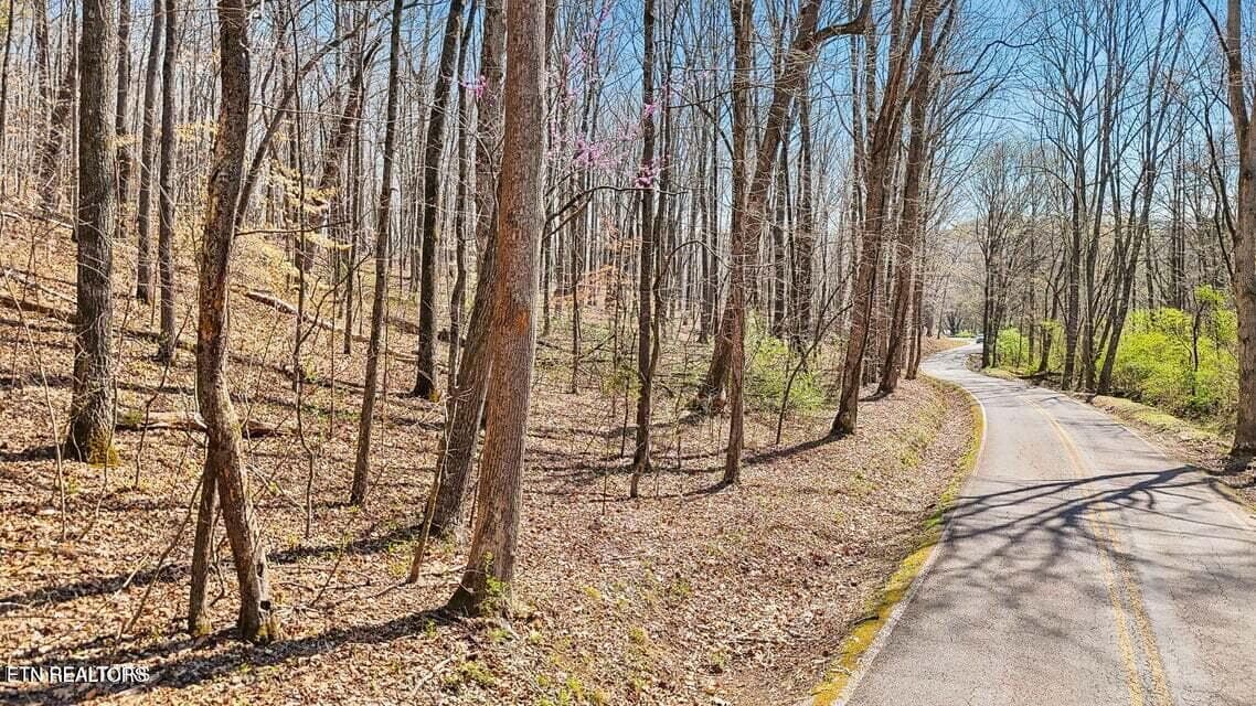 20250401145655138321000000-o - 1300 Old Sugar Limb Rd, Loudon, TN 37774, Loudon