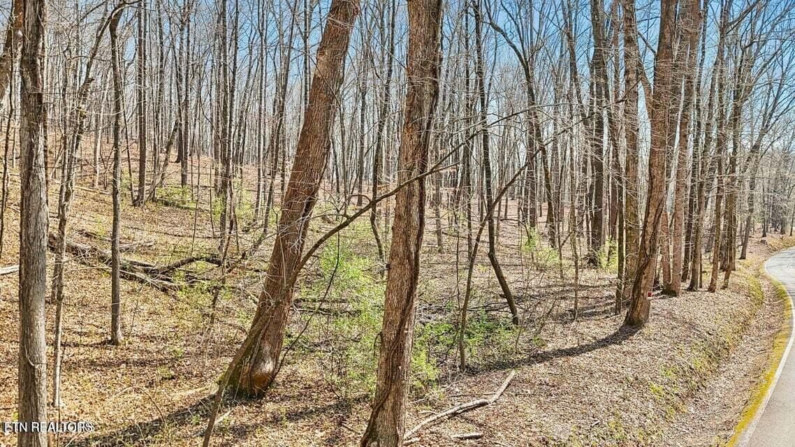 20250401145713975561000000-o - 1300 Old Sugar Limb Rd, Loudon, TN 37774, Loudon