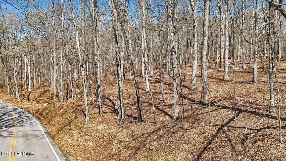 20250401145657370630000000-o - 1300 Old Sugar Limb Rd, Loudon, TN 37774, Loudon