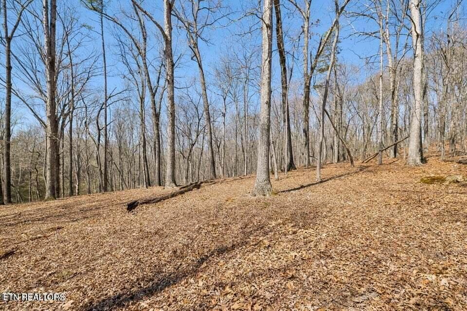 20250401145723592248000000-o - 1300 Old Sugar Limb Rd, Loudon, TN 37774, Loudon