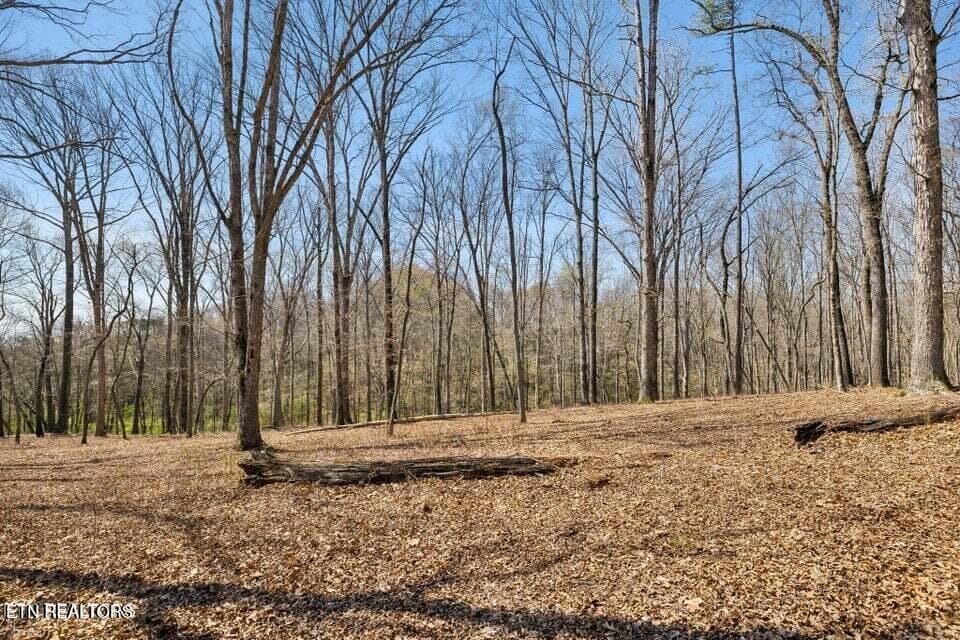 20250401145722508142000000-o - 1300 Old Sugar Limb Rd, Loudon, TN 37774, Loudon
