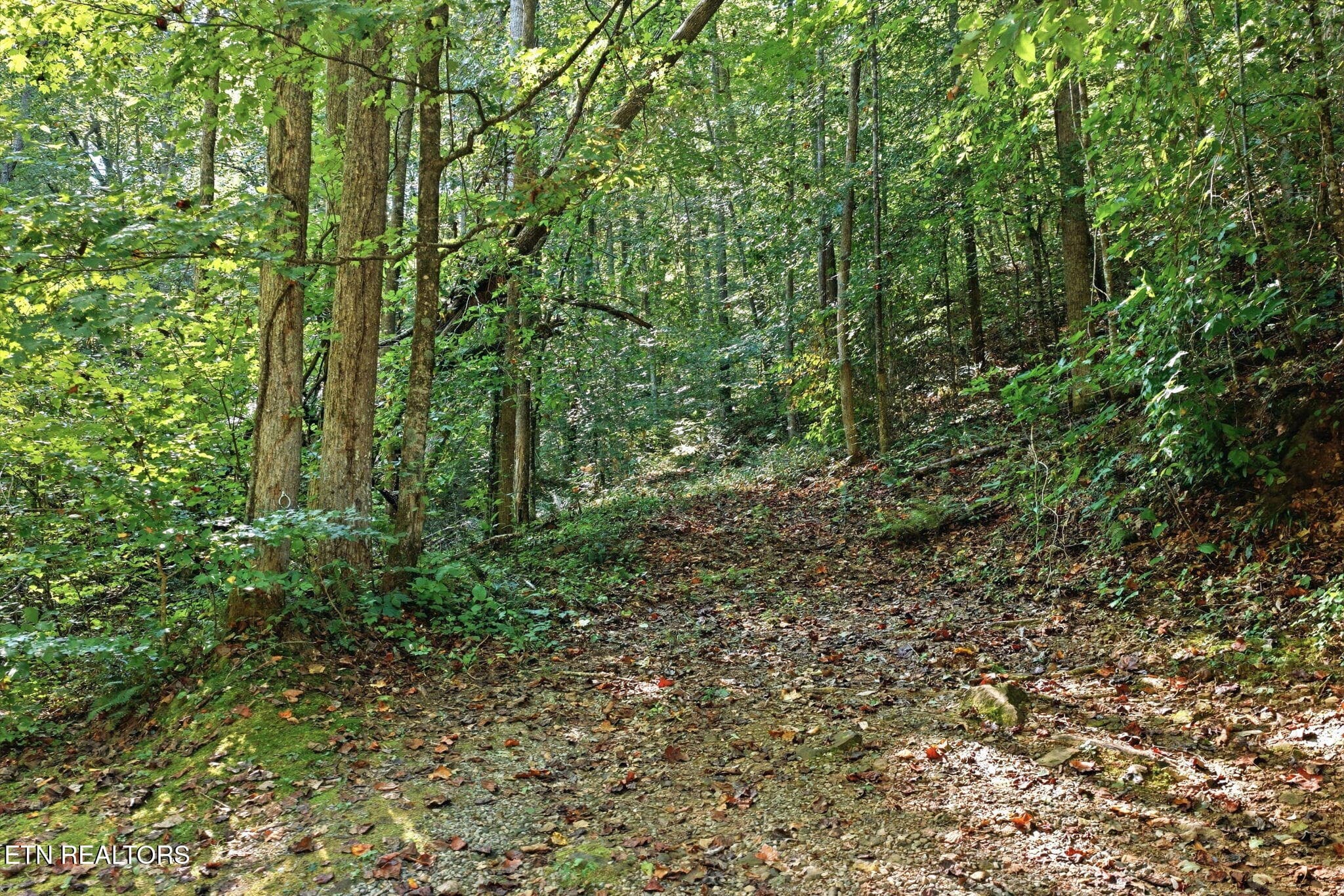 6-web-or-mls-006_DJI_20260915105828_0643 - 5935 New River Hwy, Briceville, TN 37710, Briceville