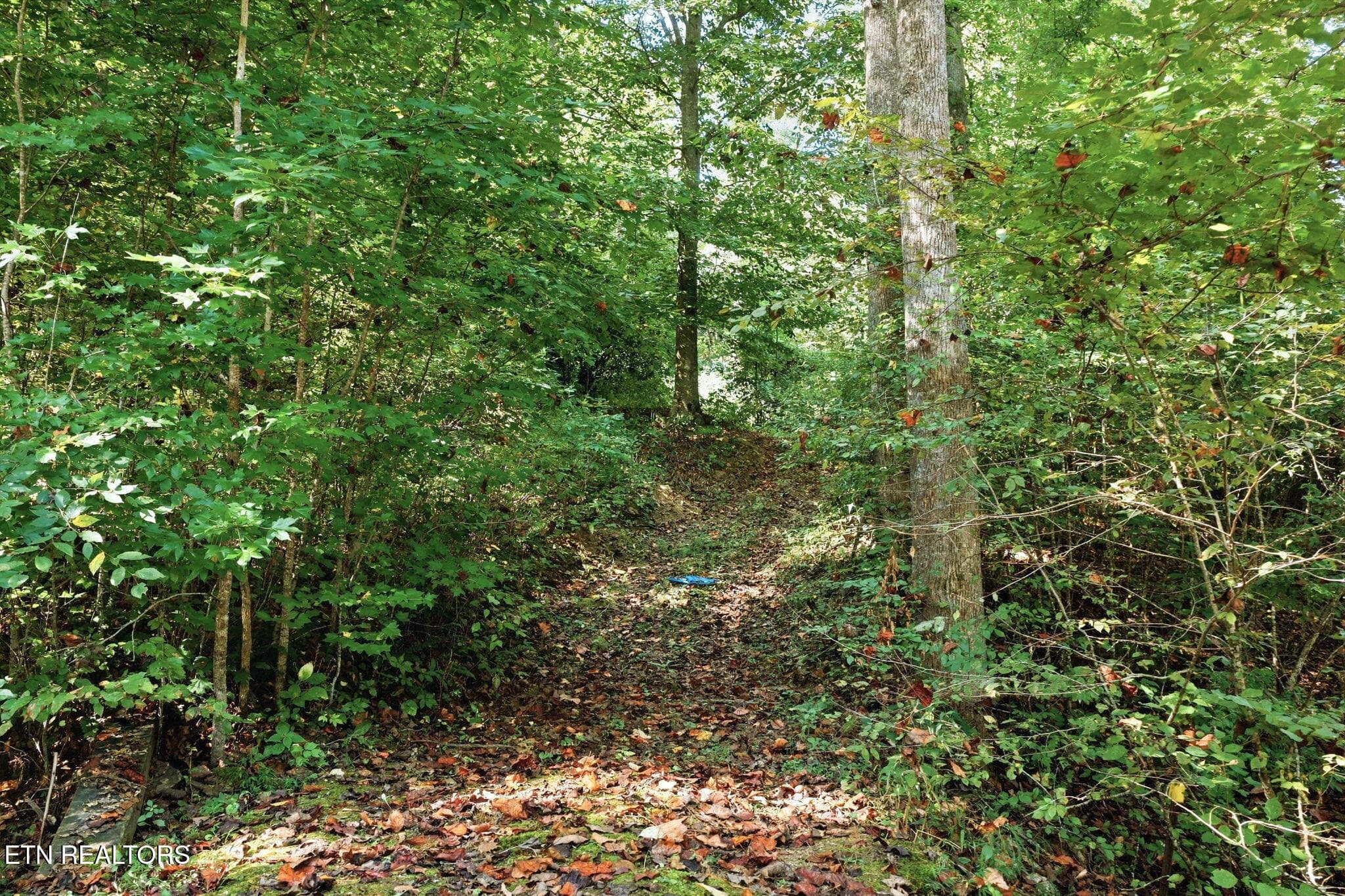 10-web-or-mls-010_DJI_20260915110139_065 - 5935 New River Hwy, Briceville, TN 37710, Briceville