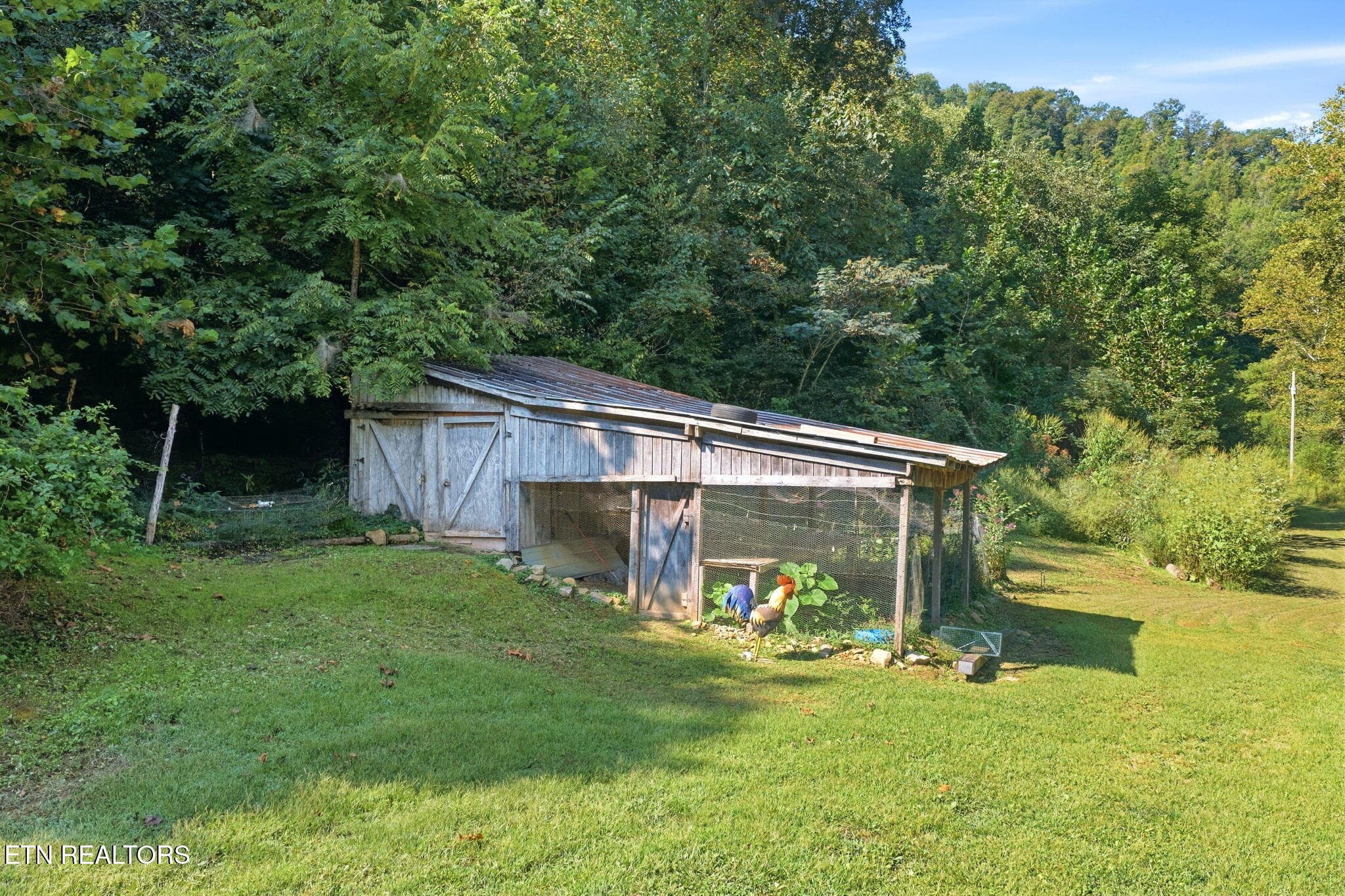 19-web-or-mls-020_DJI_20260915111021_068 - 5935 New River Hwy, Briceville, TN 37710, Briceville