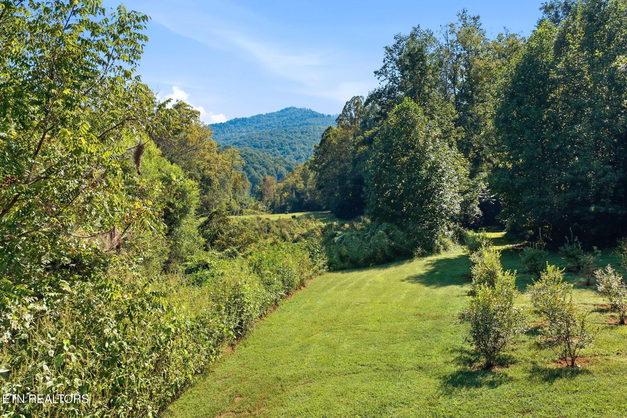 21-web-or-mls-022_DJI_20260915111227_069 - 5935 New River Hwy, Briceville, TN 37710, Briceville