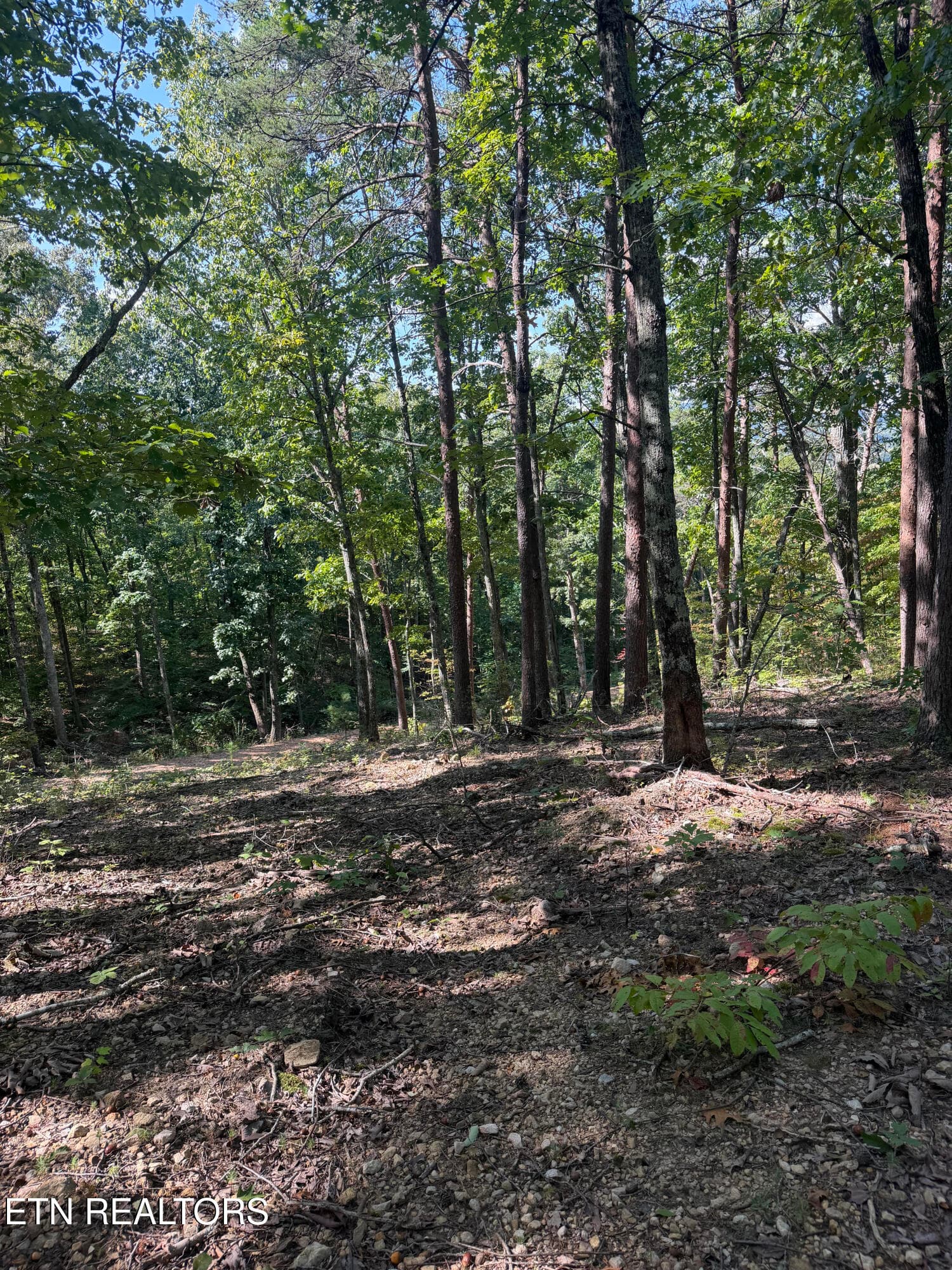 unnamed (2) - Lot 1 Mecca Pike, Tellico Plains, TN 37385, Tellico Plains