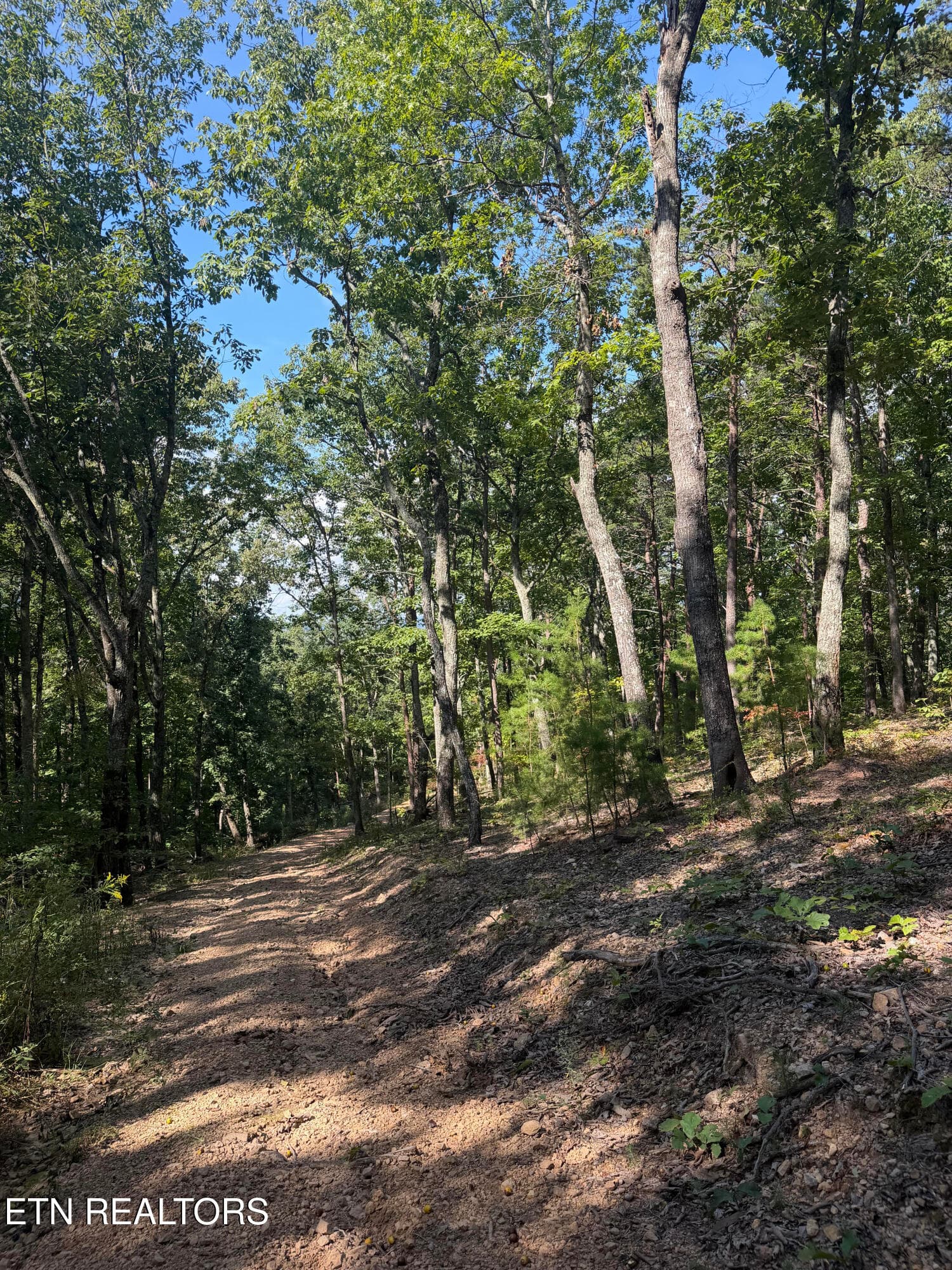 unnamed (3) - Lot 1 Mecca Pike, Tellico Plains, TN 37385, Tellico Plains