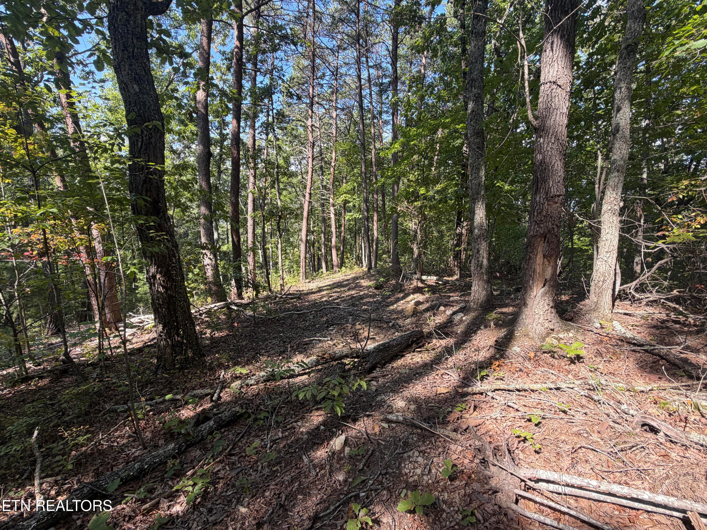 unnamed (4) - Lot 1 Mecca Pike, Tellico Plains, TN 37385, Tellico Plains