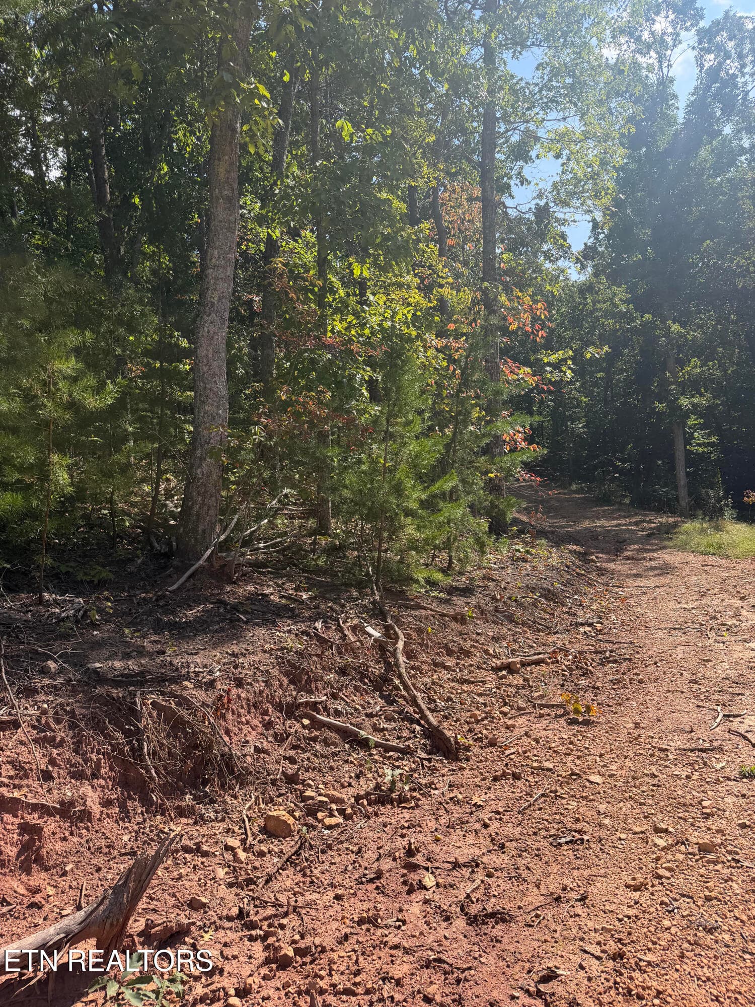 unnamed - Lot 1 Mecca Pike, Tellico Plains, TN 37385, Tellico Plains