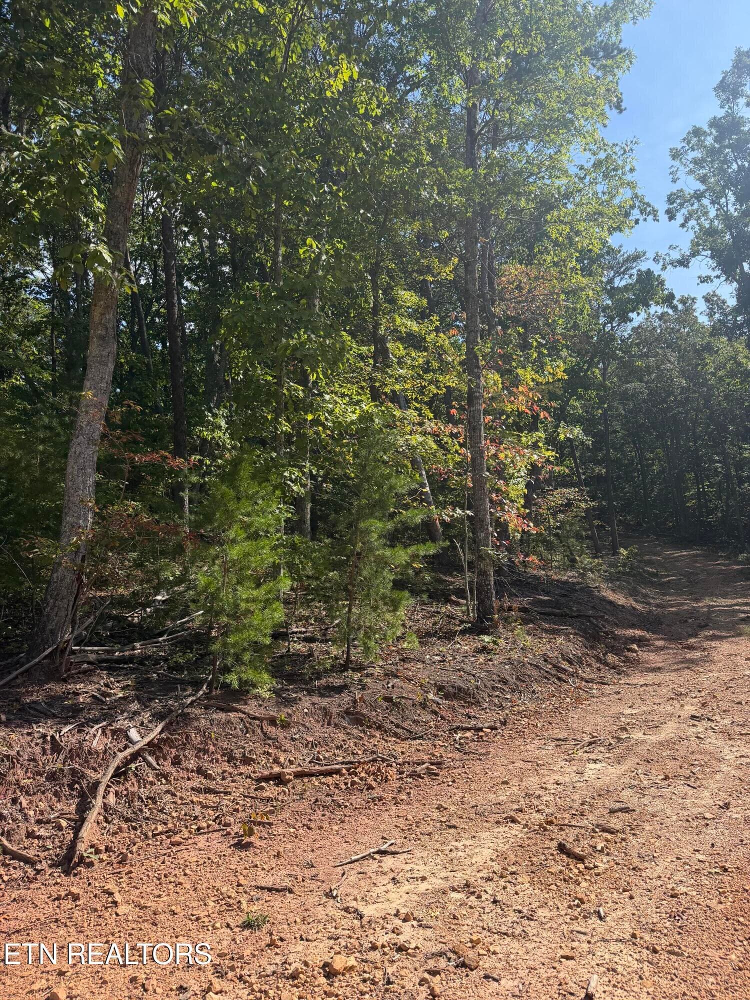IMG_2026 - Lot 1 Mecca Pike, Tellico Plains, TN 37385, Tellico Plains