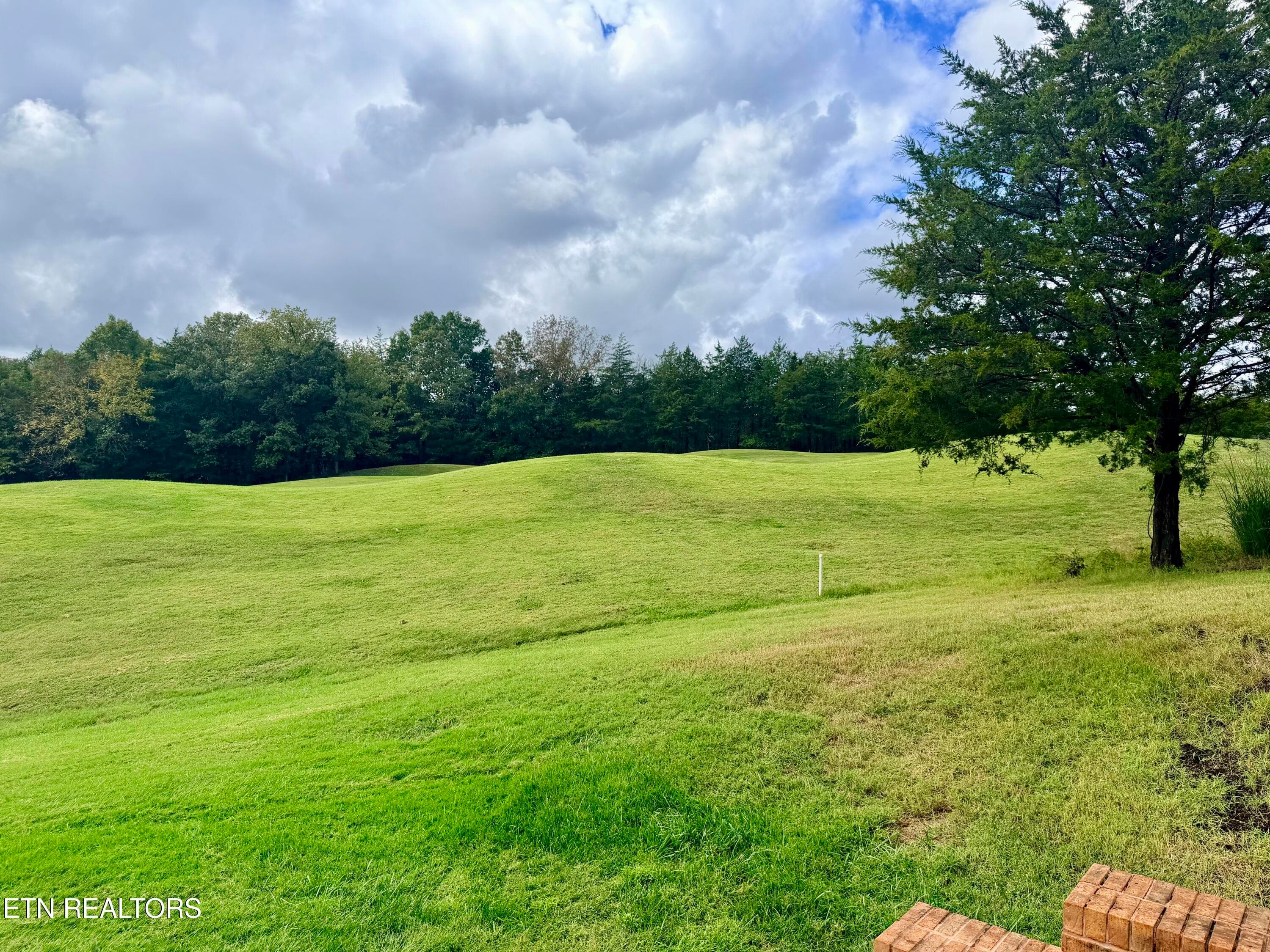 IMG_6747 - 252 Links Court, Tazewell, TN 37879, Tazewell