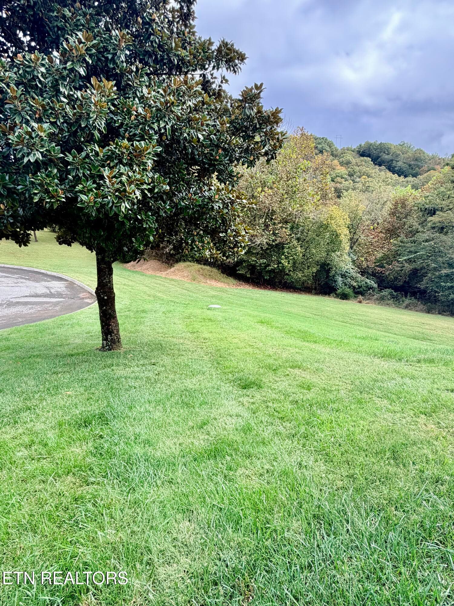 IMG_6750 - 252 Links Court, Tazewell, TN 37879, Tazewell