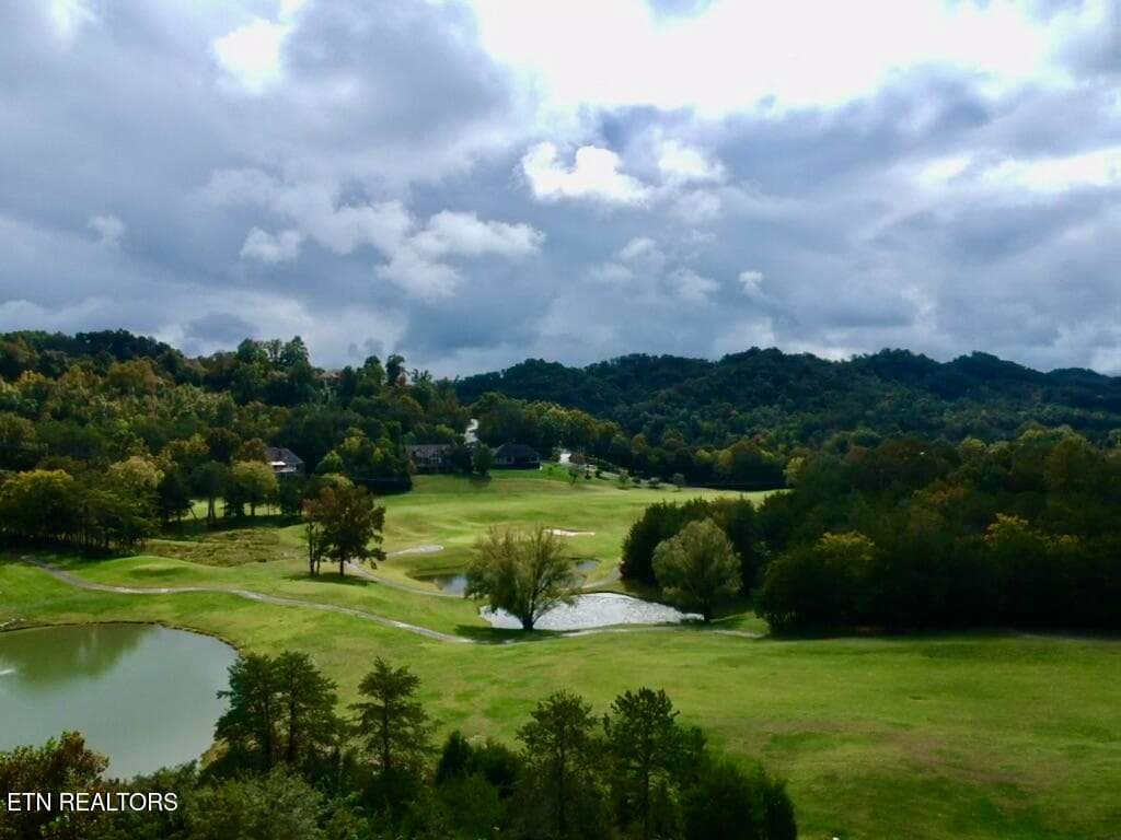 IMG_6757 - 252 Links Court, Tazewell, TN 37879, Tazewell