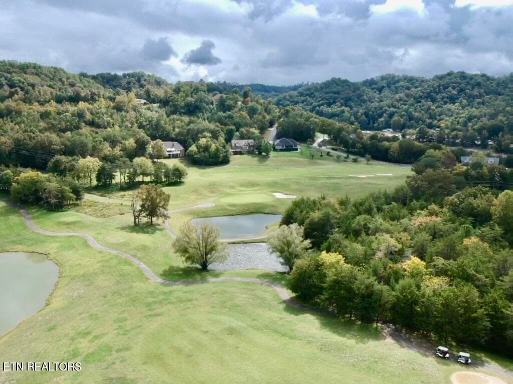 IMG_6766 - 252 Links Court, Tazewell, TN 37879, Tazewell