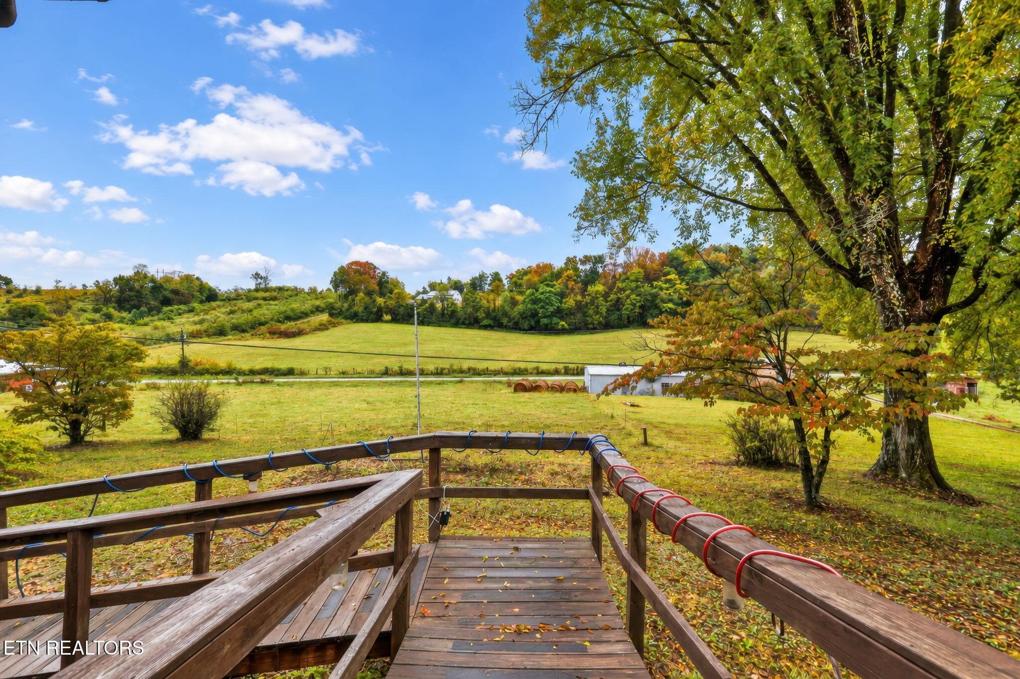 5-web-or-mls-3F1A9094-HDR-2-gigapixel-st - 271 Heim Rd, Rutledge, TN 37861, Rutledge