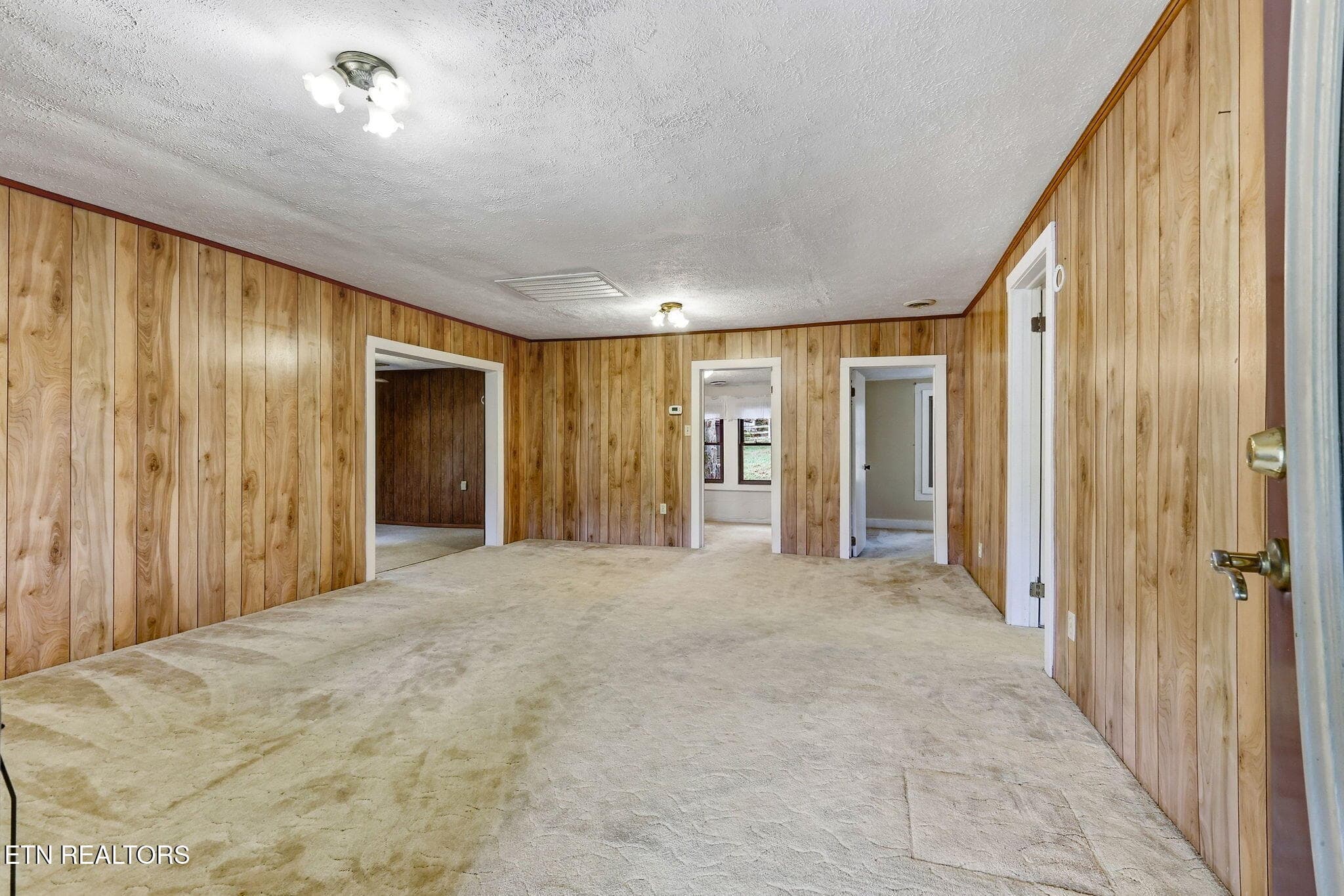 8-web-or-mls-3F1A8981 - 271 Heim Rd, Rutledge, TN 37861, Rutledge