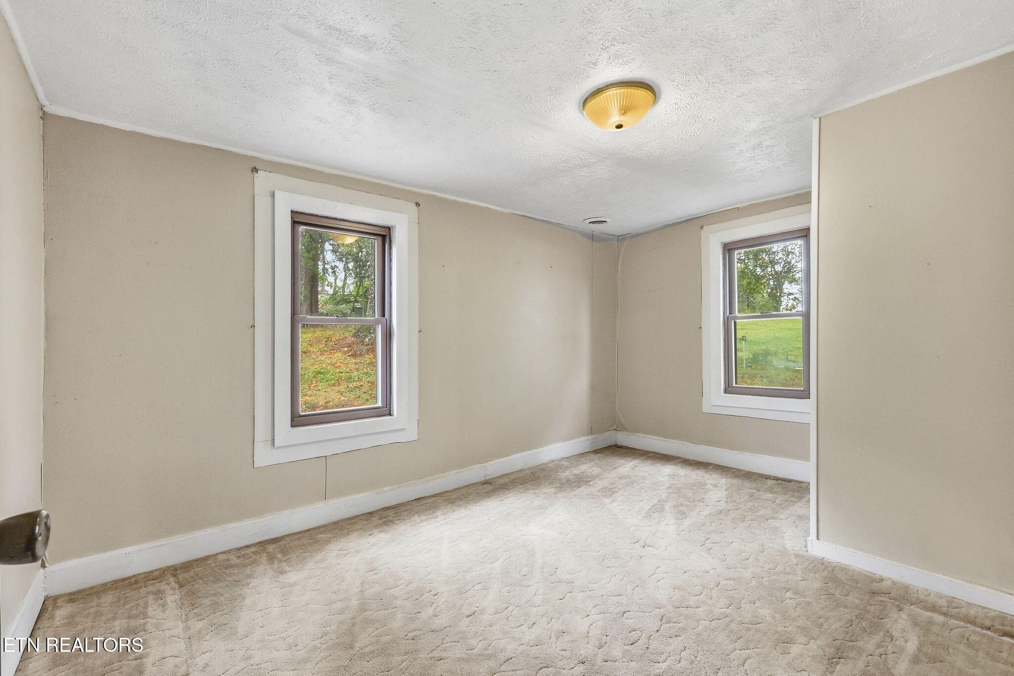 28-web-or-mls-3F1A9063 - 271 Heim Rd, Rutledge, TN 37861, Rutledge