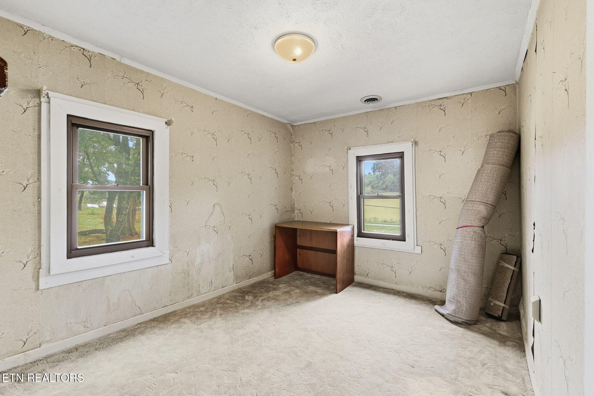 34-web-or-mls-3F1A9086 - 271 Heim Rd, Rutledge, TN 37861, Rutledge