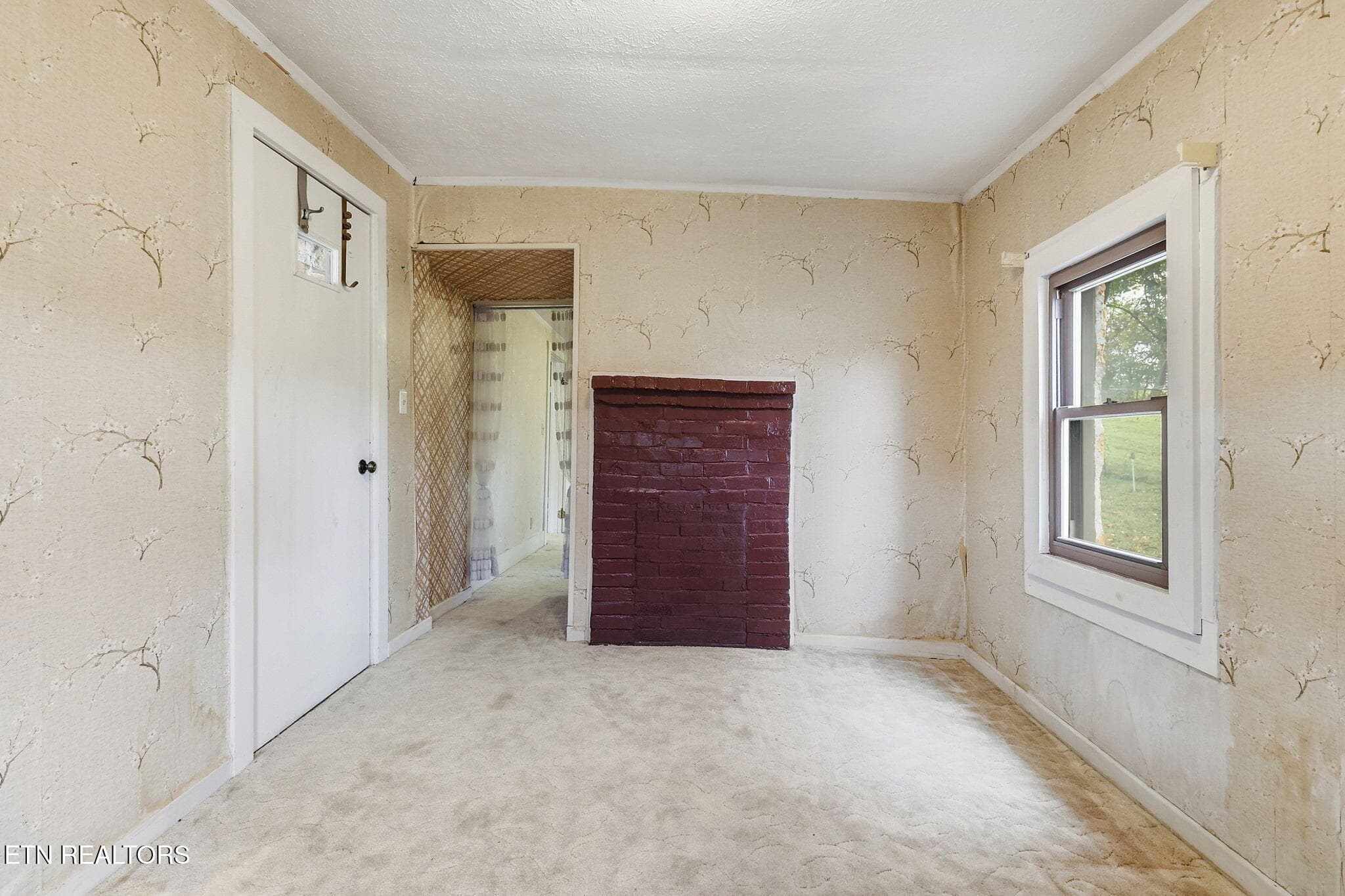 35-web-or-mls-3F1A9090 - 271 Heim Rd, Rutledge, TN 37861, Rutledge