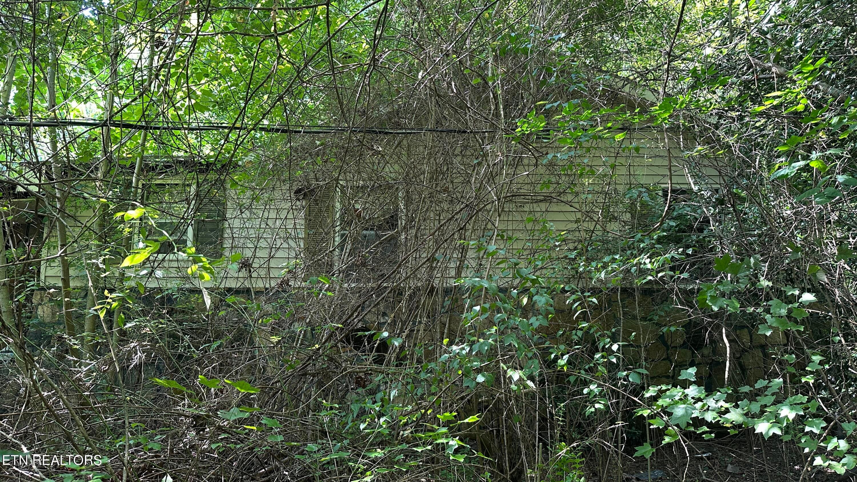 1011 Bazel Rd, Harriman, TN 37748