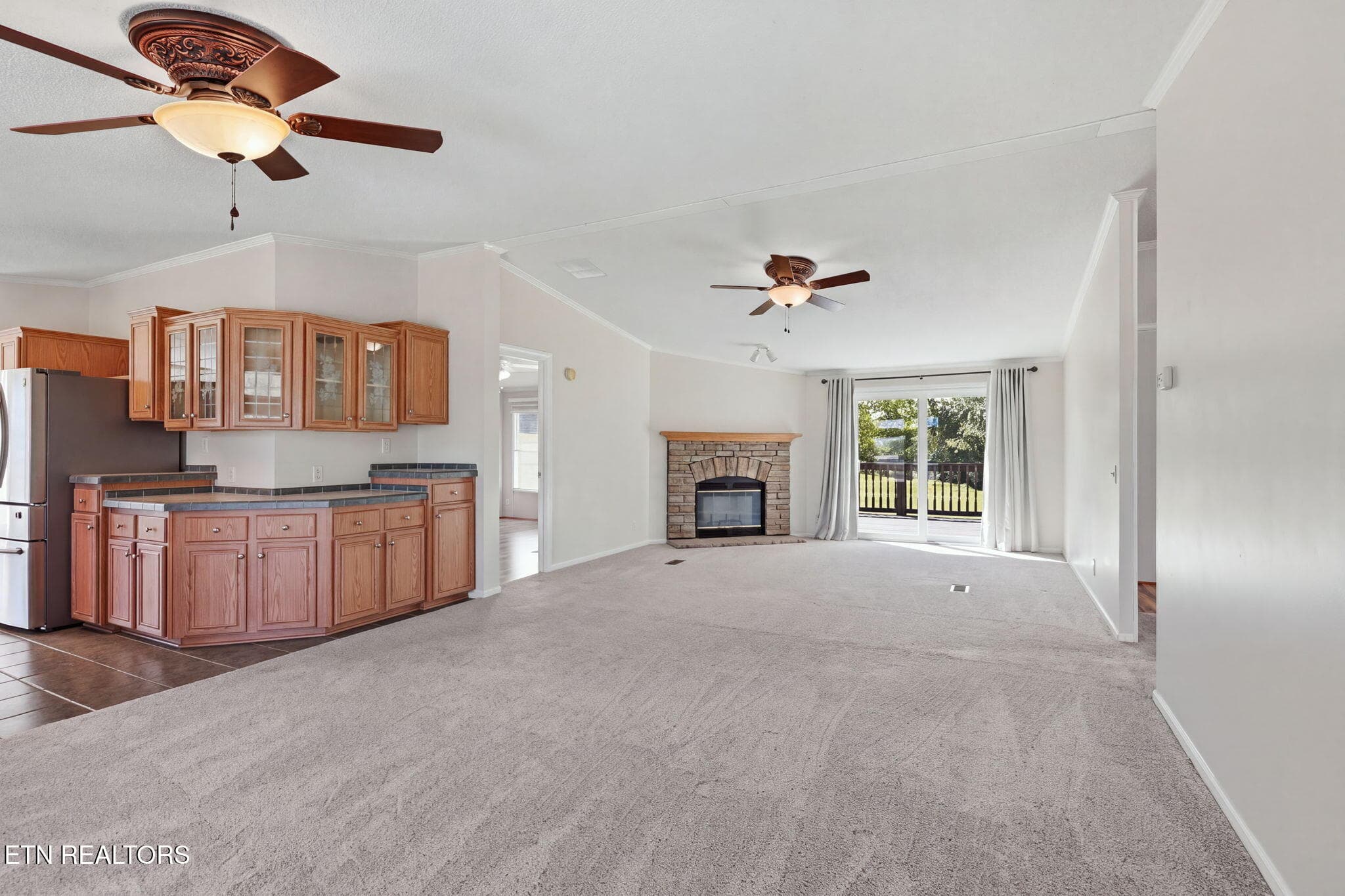 3-web-or-mls-DZ3A3905 - 125 Dorothy Drive, Talbott, TN 37877, Talbott