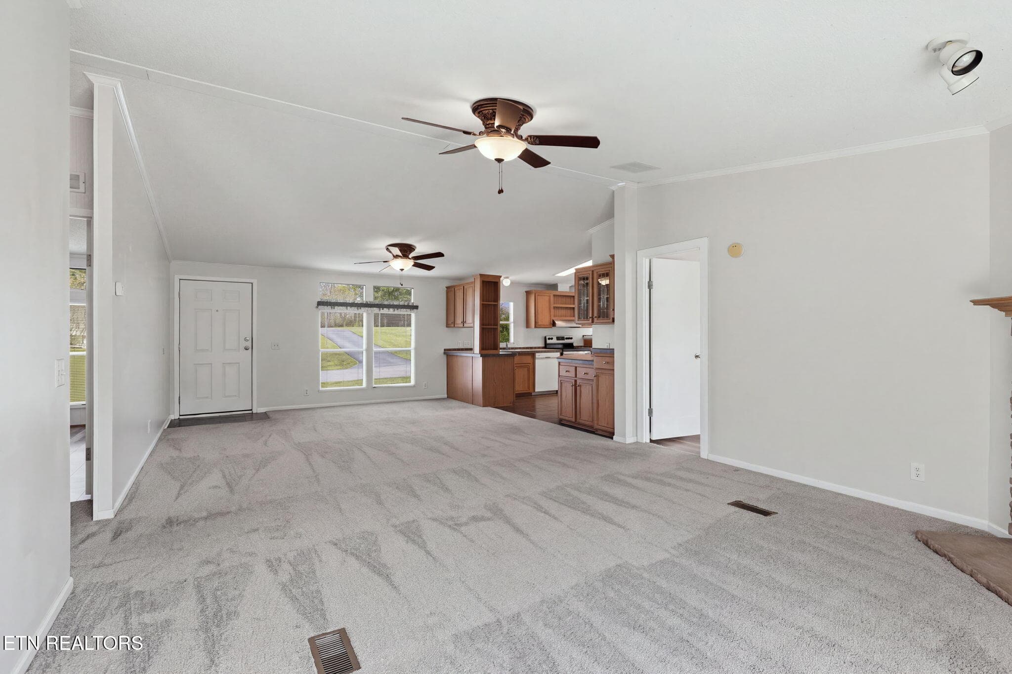 4-web-or-mls-DZ3A3908 - 125 Dorothy Drive, Talbott, TN 37877, Talbott
