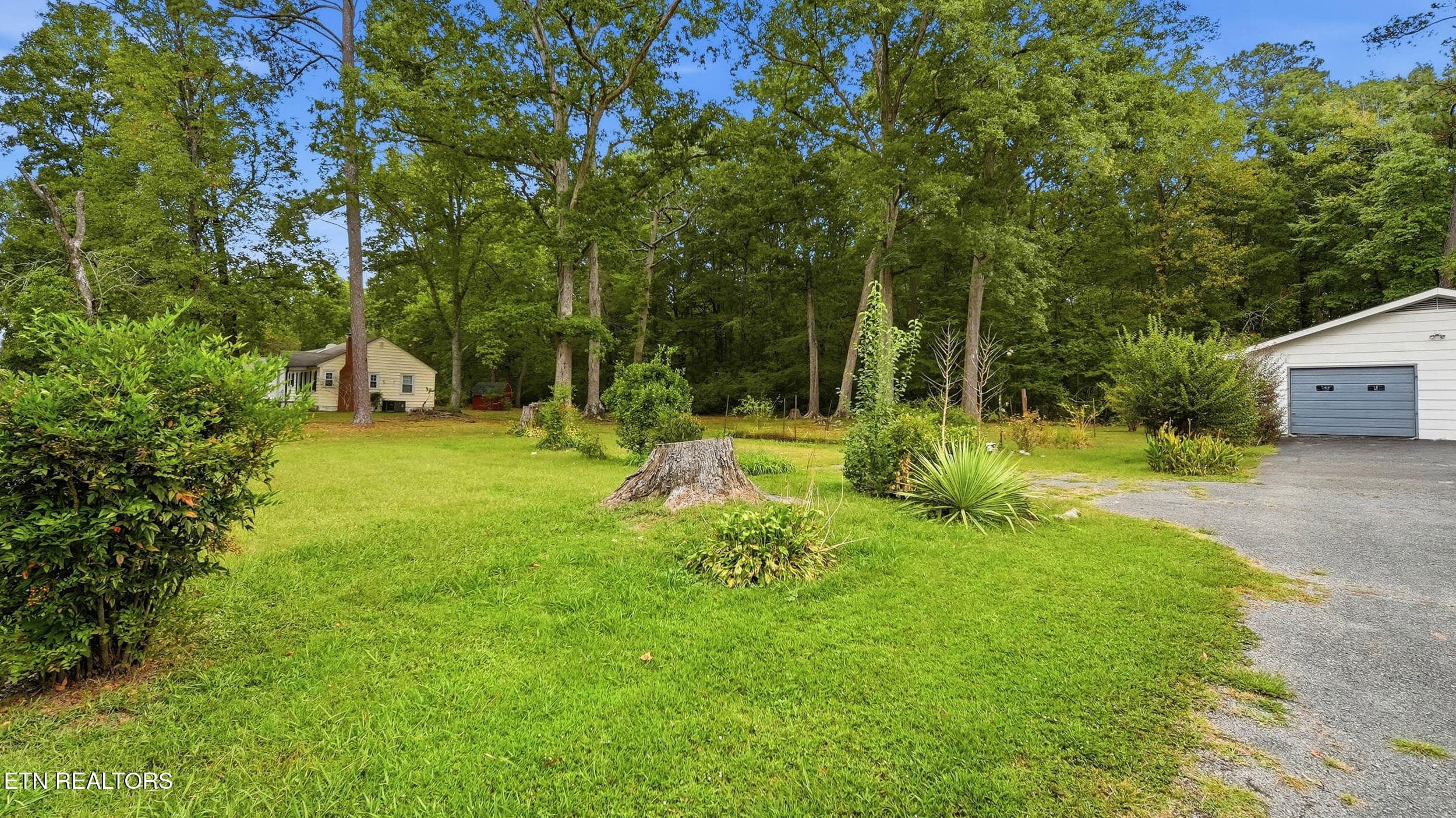 Side Yard - 1130 Mcdonald Drive, Chattanooga, TN 37421, Chattanooga