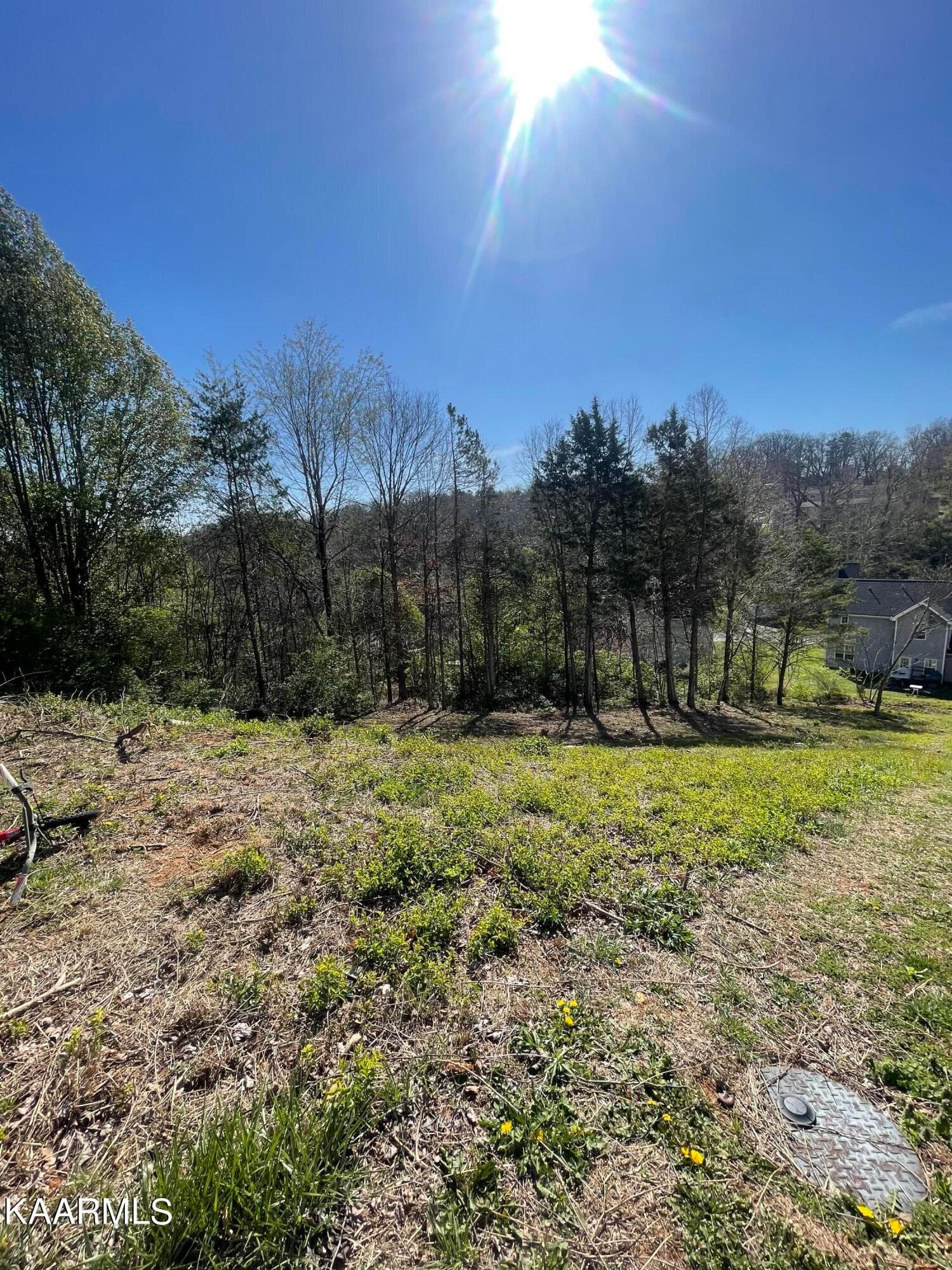 B83F1F43-B692-49D9-A0E8-907CFDDF9E9C - 1948 Winter Winds Lane, Knoxville, TN 37909, Knoxville