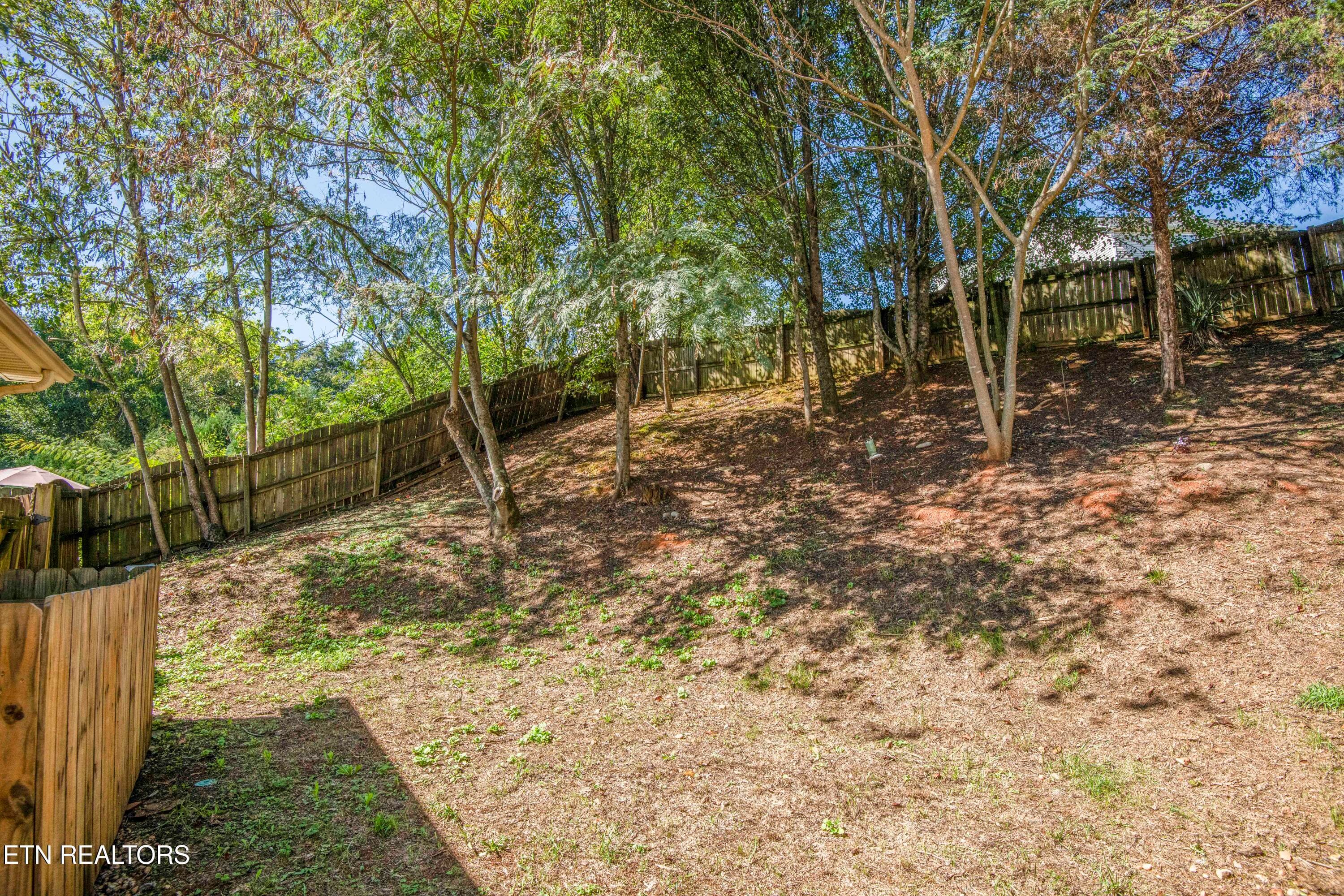 yard 7_1 - 11407 Hunters Run Lane, Knoxville, TN 37932, Knoxville