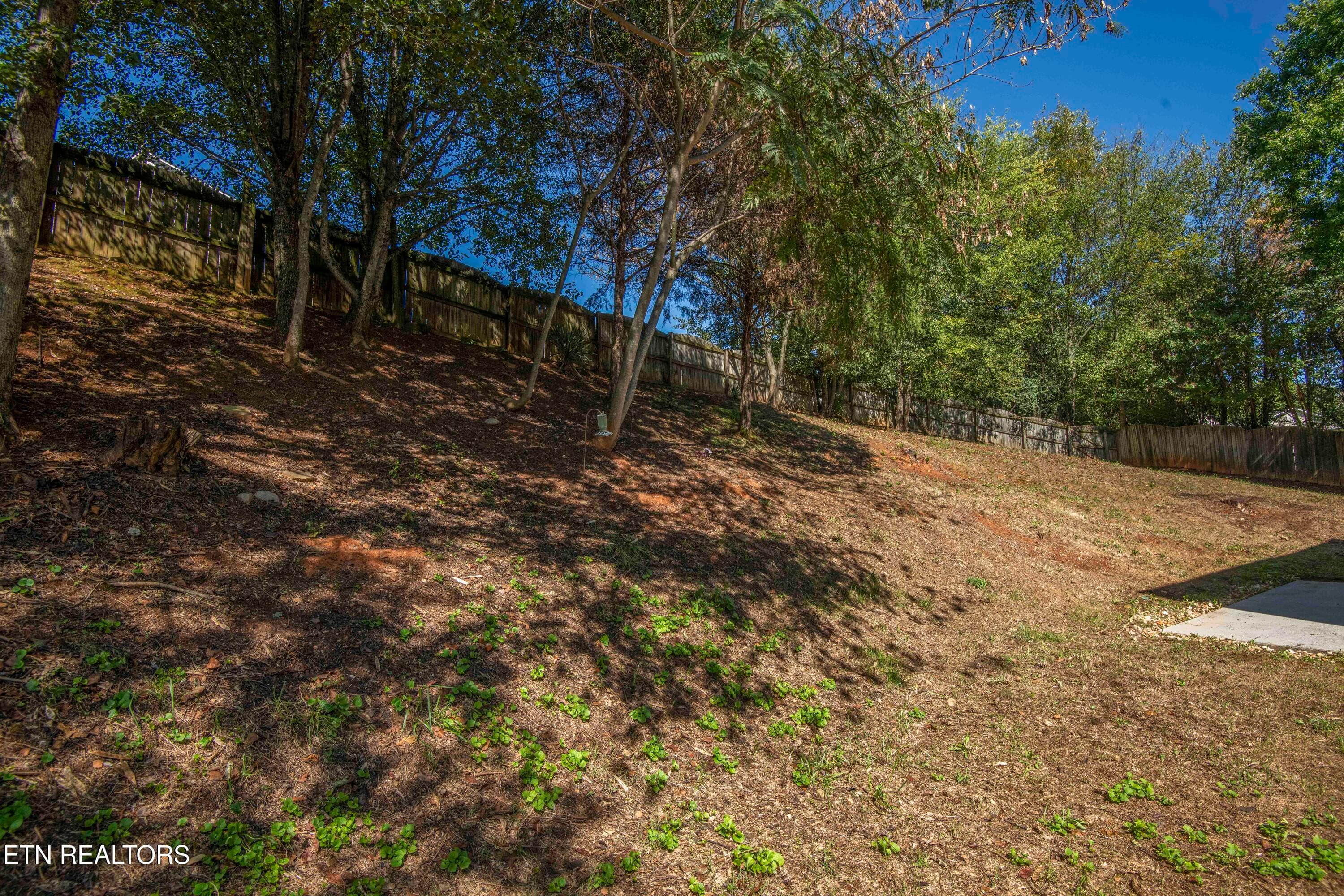 yard_1 - 11407 Hunters Run Lane, Knoxville, TN 37932, Knoxville