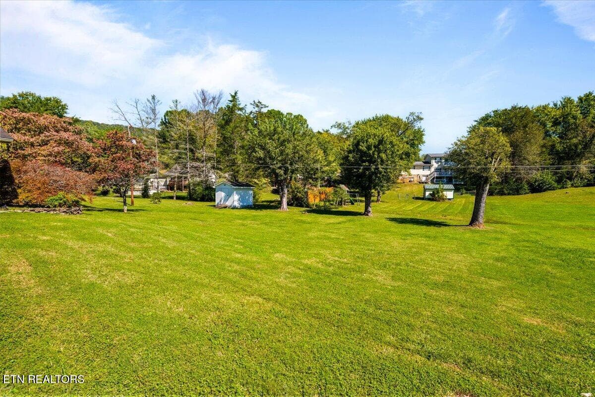 Yard - 166 Scenic Drive, Jacksboro, TN 37757, Jacksboro