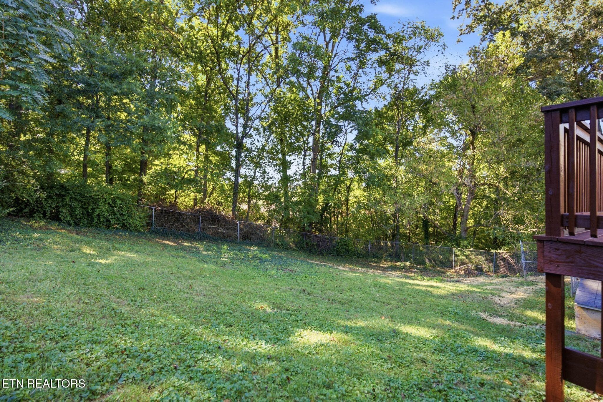 1319 Pandora Rd-39 - 1319 Pandora Rd, Knoxville, TN 37919, Knoxville