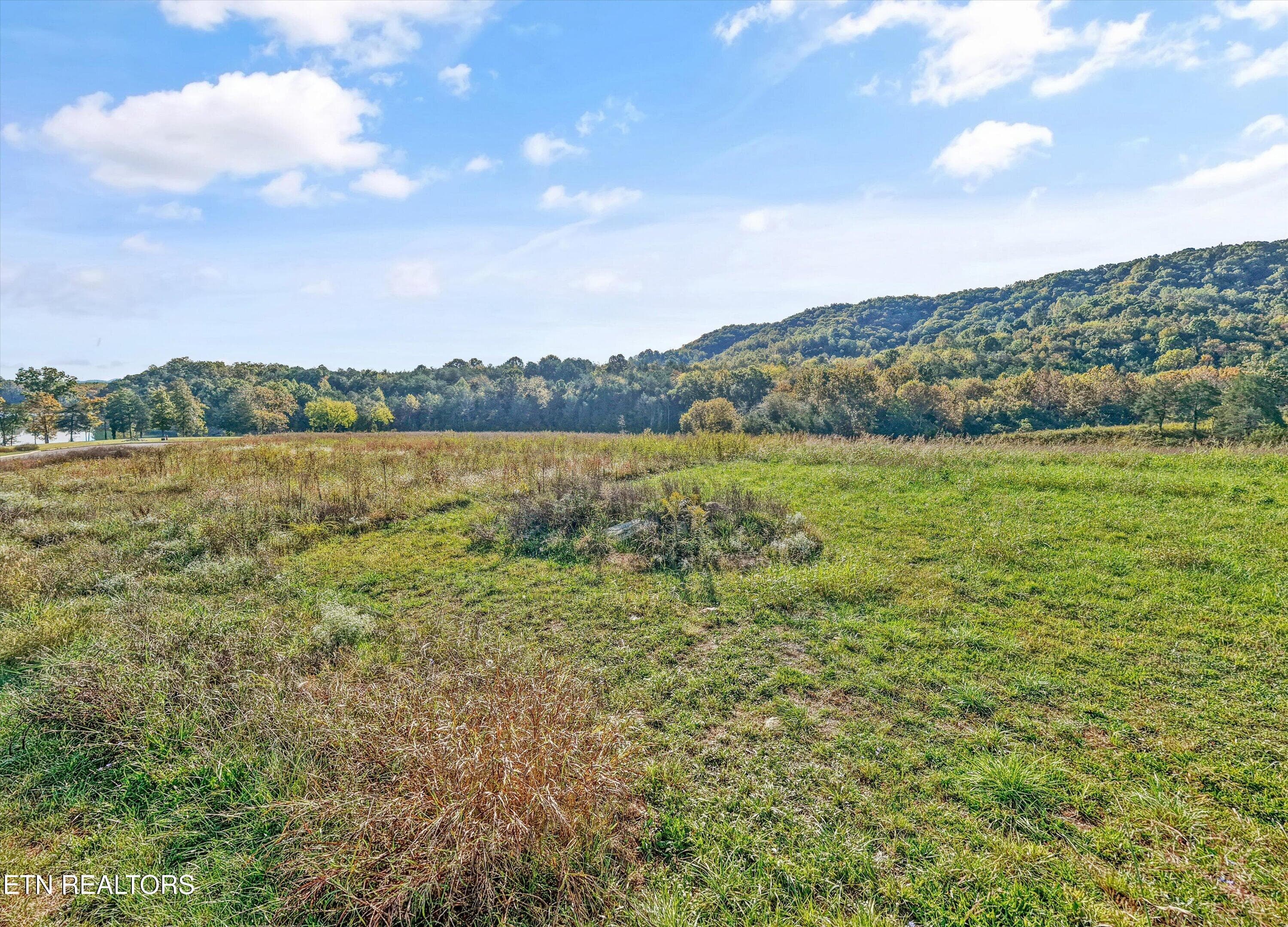 10-Waterfront Knl17 - Waterfront Lot 23, Sharps Chapel, TN 37866, Sharps Chapel