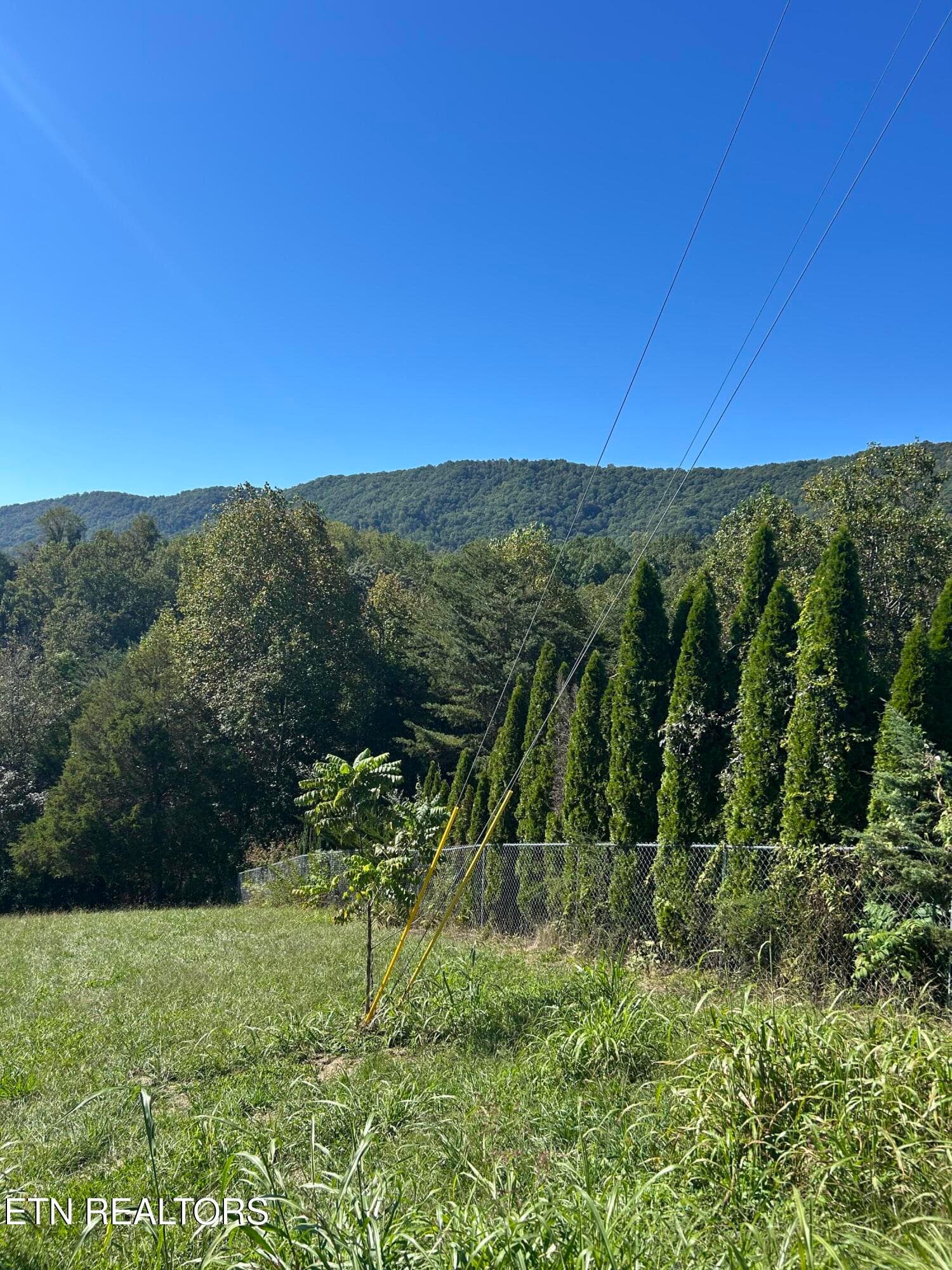 IMG_2464 - Mountain Perkins Lane, Jacksboro, TN 37757, Jacksboro