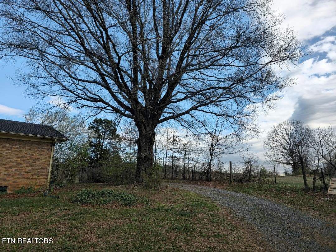 16 - 3451 Baker Springs Rd, White Pine, TN 37890, White Pine