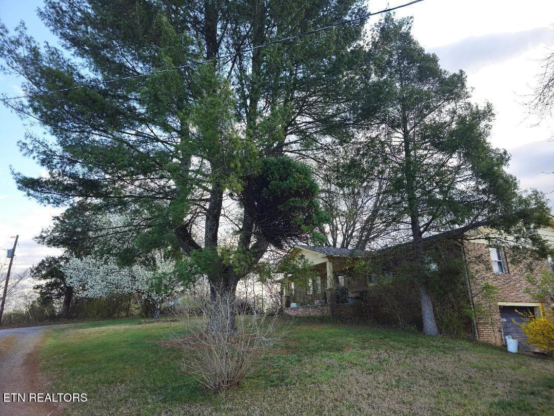 29 - 3451 Baker Springs Rd, White Pine, TN 37890, White Pine
