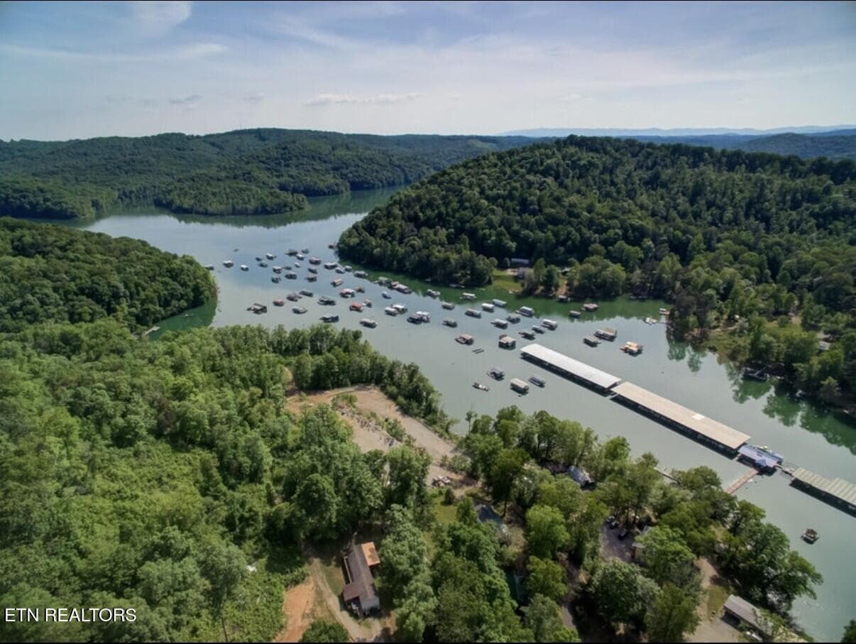 03_Aerial_Lake_Channel - 251 Last LZ Lane, Speedwell, TN 37870, Speedwell