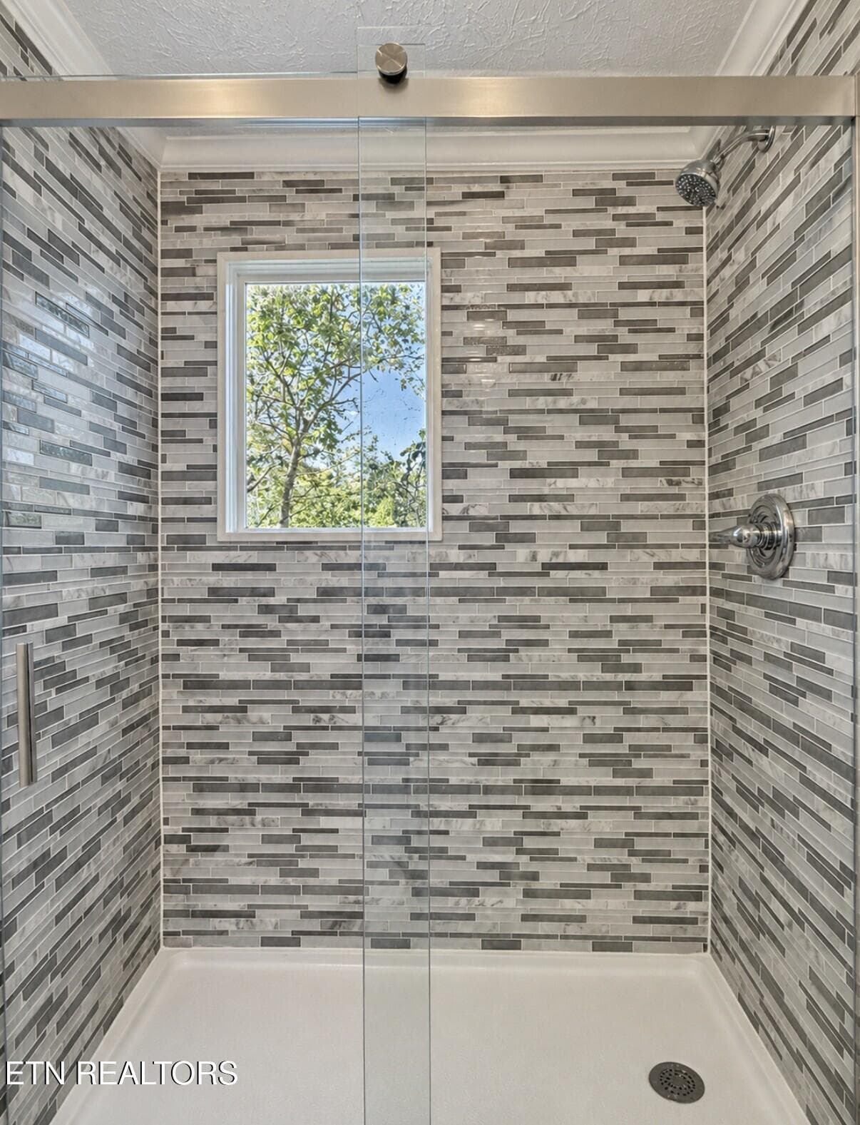 20_Bathroom_Shower - 251 Last LZ Lane, Speedwell, TN 37870, Speedwell