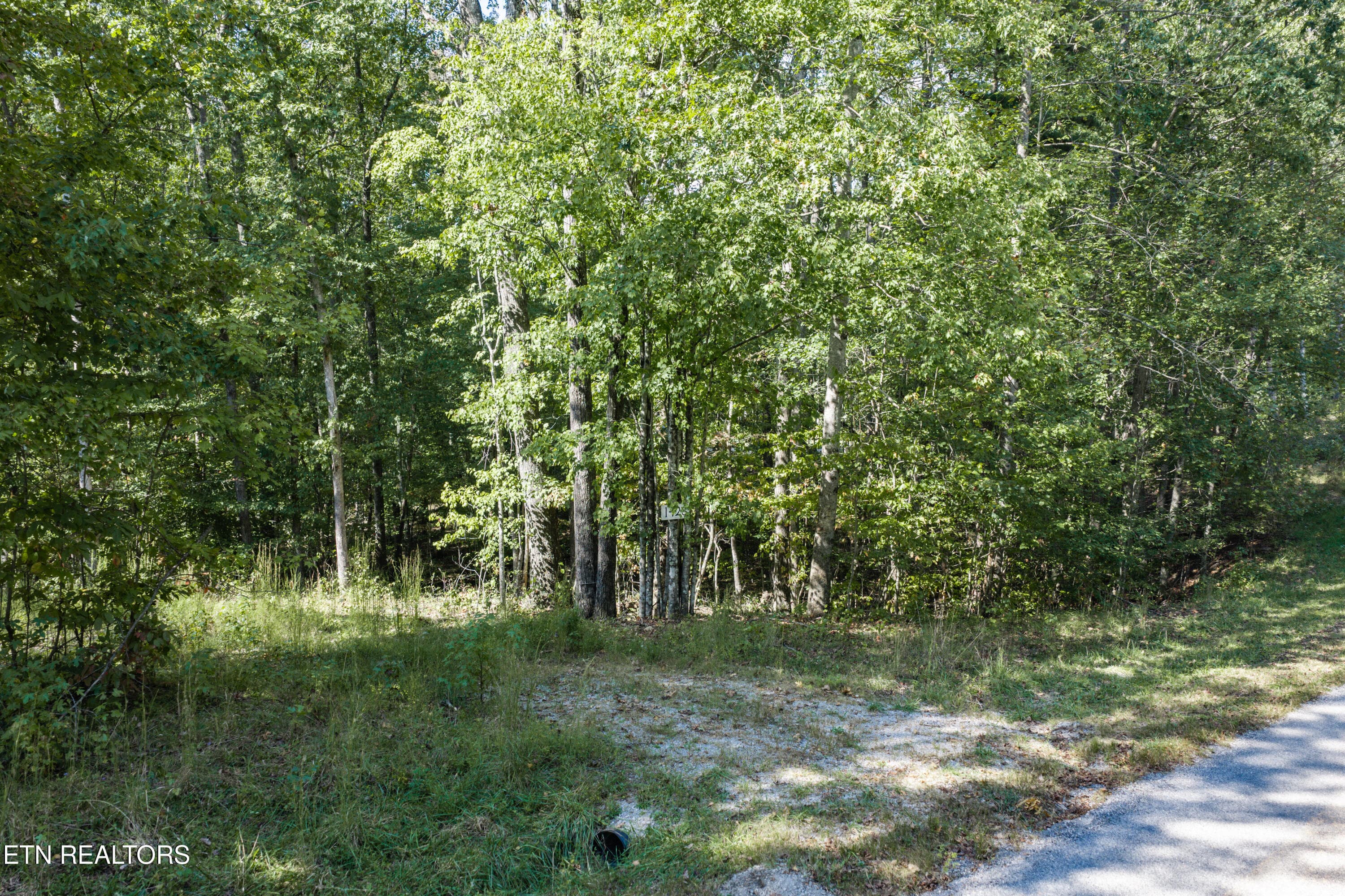 2-print-1426 E Overlook Rd_008_TNPC - 1426 E Overlook Rd, Monterey, TN 38574, Monterey
